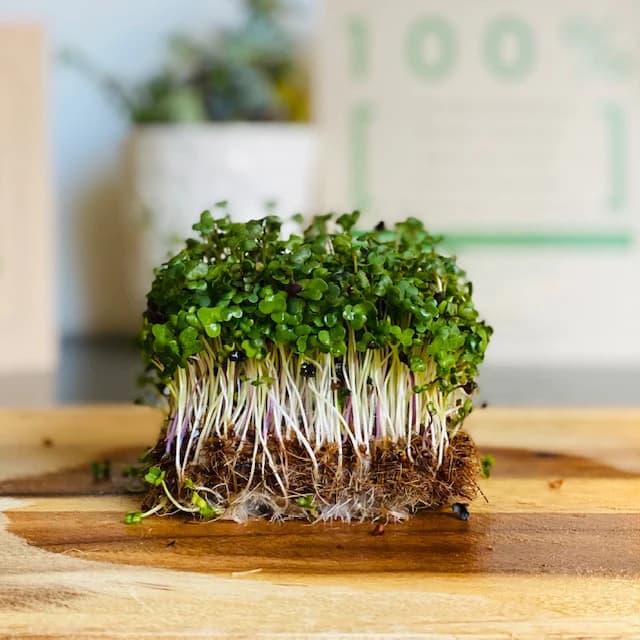 Microgreen